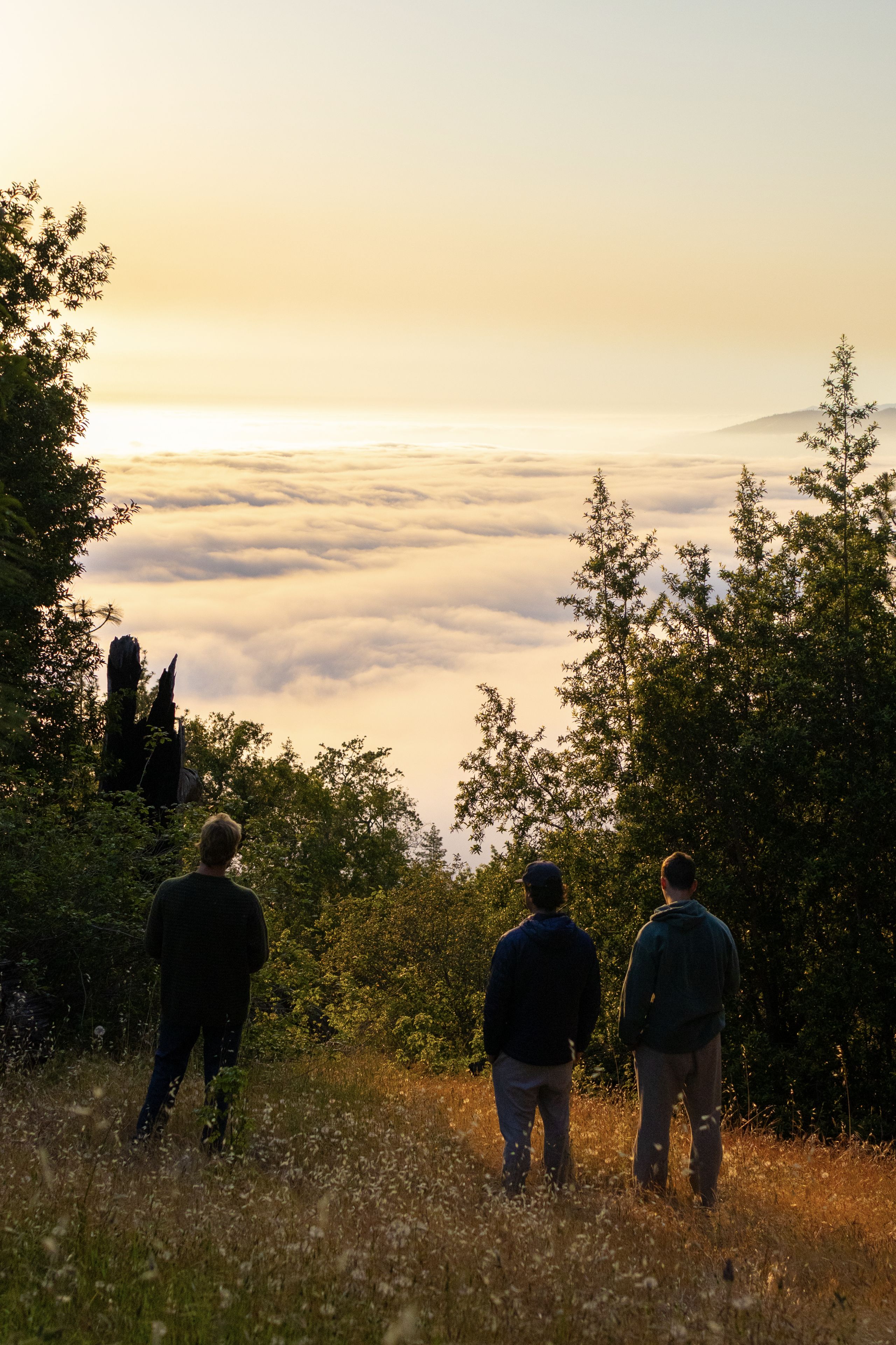 Big Sur